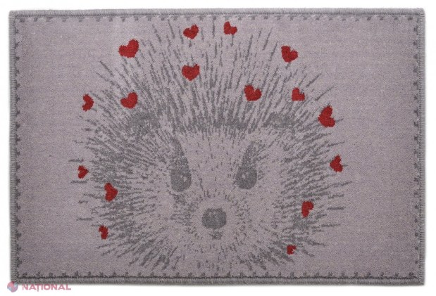 Toate covoarele la JUMĂTATE de preț! Povestea de Crăciun de la Floare Carpet a început!