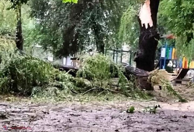 GALERIE FOTO // PLOAIE în Chișinău: Copaci scoşi din rădăcini și căzuți inclusiv pe mașini, străzi spălate de ape, acoperișuri luate de vânt sau cabluri doborâte la pământ