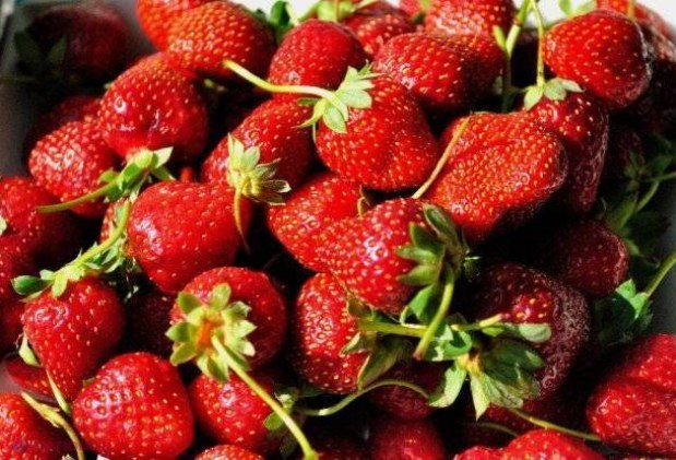 Eveniment „DULCE” la Călărași. Când va avea loc sărbătoarea CĂPȘUNII și a MIERII