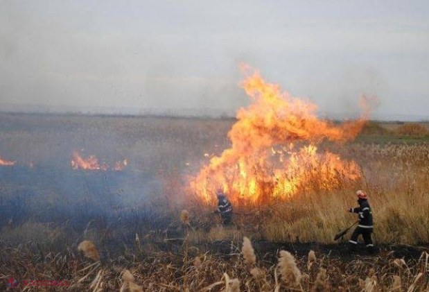 Arde Moldova! Zeci de hectare de pădure de sub Chișinău, DISTRUSE