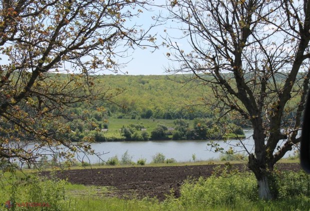 AVERTISMENT // R. Moldova riscă să PIARDĂ sute de hectare de pădure