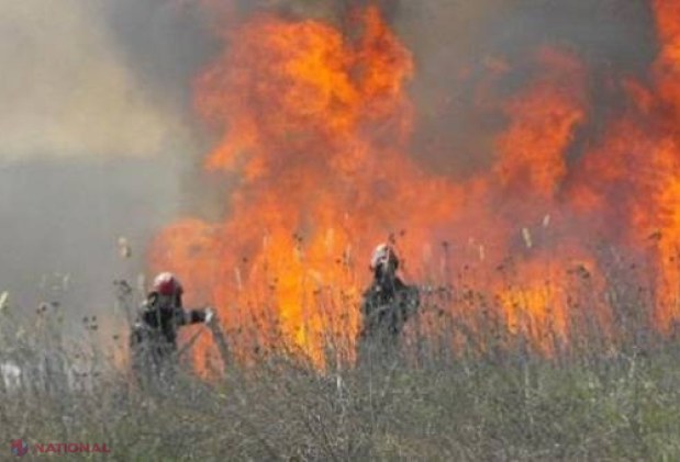 PERICOL EXCEPȚIONAL // INCENDIU puternic la o gunoiște din apropierea Chișinăului