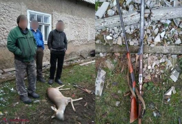 O partidă de vânătoare din R. Moldova s-a încheiat în această dimineață la... poliție