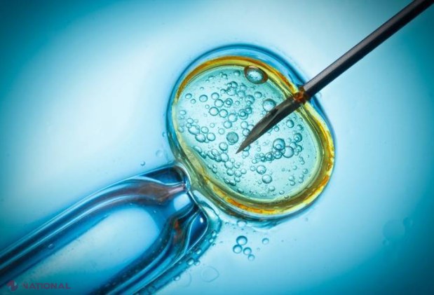 Fertilizare in vitro GRATUITĂ: O pacientă a rămas deja însărcinată