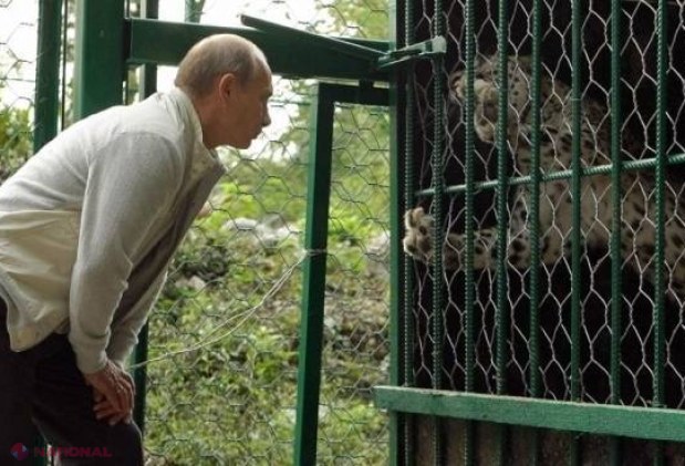 GALERIE FOTO. Cele mai „RIDICOLE”' ipostaze în care a fost surprins Vladimir Putin