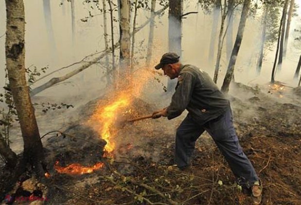 Găgăuzia // INCENDIU lângă o tabără de odihnă. Copiii au fost evacuați