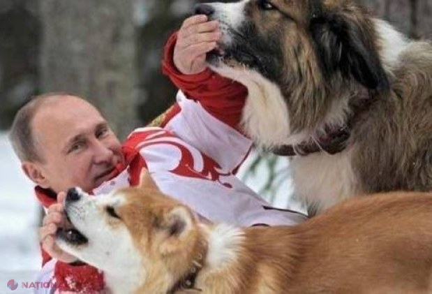 GALERIE FOTO. Cele mai „RIDICOLE”' ipostaze în care a fost surprins Vladimir Putin