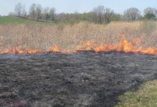 Zeci de incendii în doar 24 de ore. Pompierii recomandă maximă atenţie