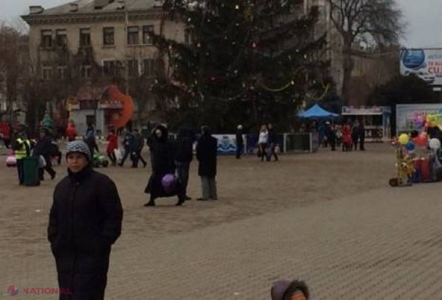 S-au ÎMBĂTAT şi s-au urcat ÎN VÂRFUL BRADULUI!