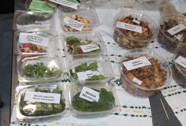 Foto // Festival de gastronomie excepțional la „Moldexpo”