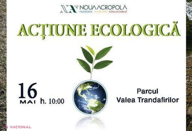 Filozofia în acțiune // O nouă inițiativă în Valea Trandafirilor