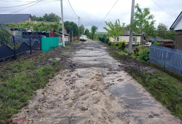 Ploile din ultimele zile au inundat gospodării, blocuri de locuit, beciuri, garaje, o policlinică, a înnămolit drumuri și a doborât copaci: Localitățile afectate