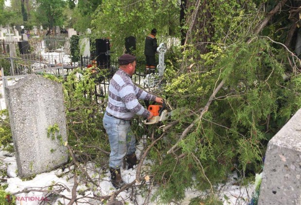 Paștele Blajinilor: Dorin Chirtoacă îndeamnă oamenii să nu meargă la cimitir cu „mâncăruri și băuturi”. Există pericolul să mai CADĂ crengi
