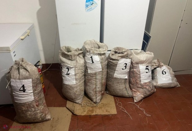 CAPTURĂ // 255 de kg de peşte la Palanca: Ce le-au spus oamenilor legii cei doi inşi prinşi cu sacii in maşină