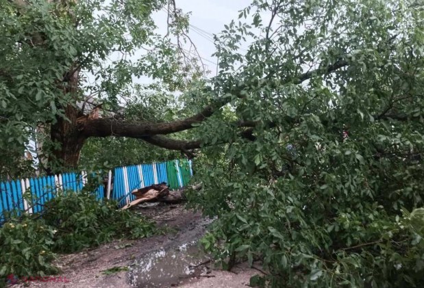 FOTO Acoperișuri smulse și arbori doborâți în nordul țării. Salvatorii au intervenit în mai multe localități după ploaia cu vânt și grindină
