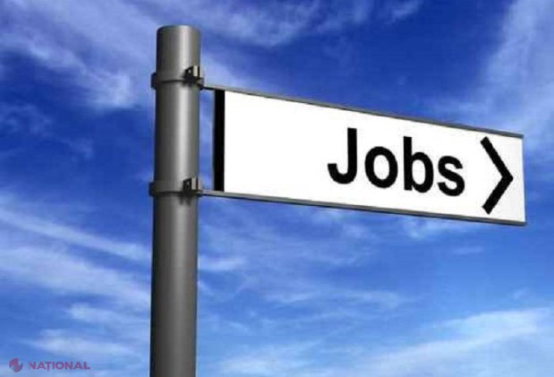 OFERTĂ // O sută cele mai plătite locuri de muncă vacante din R. Moldova. Se propun salarii de peste zece mii de lei