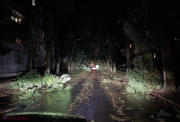 GALERIE FOTO // Furtuna de noaptea trecută a făcut ravagii în Chișinău - mai mulți copaci au fost rupți sau SMULȘI din rădăcină, mașini avariate, garduri doborâte și fire electrice căzute la pământ