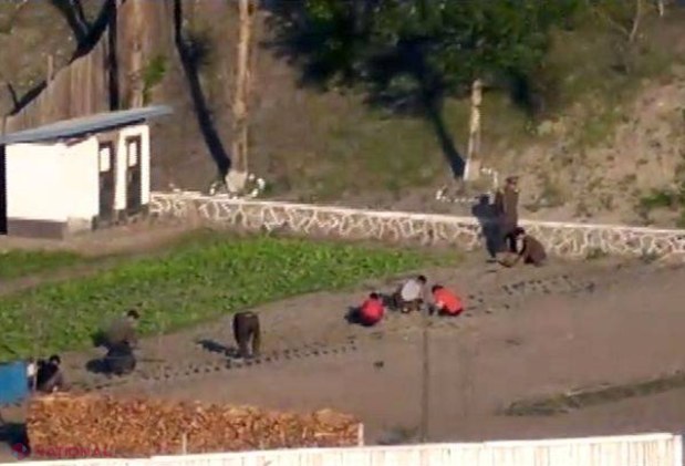  VIDEO // Din Coreea de Nord nu pleci în viaţă dacă ai văzut asta. Cel mai bine păzit secret al lui KIM
