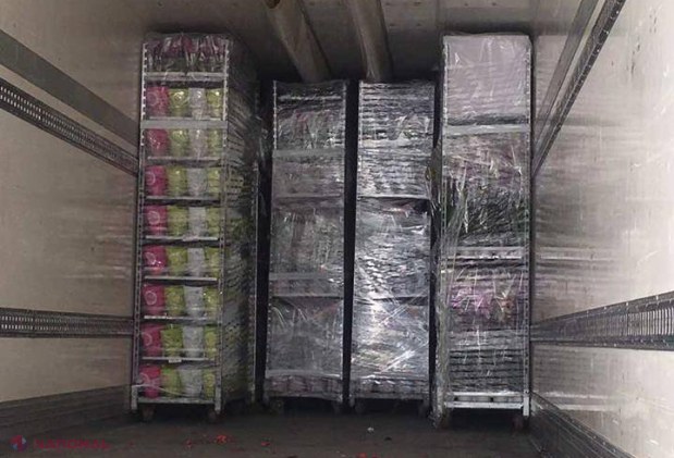 FLORI de peste un MILION de lei, confiscate la Chișinău