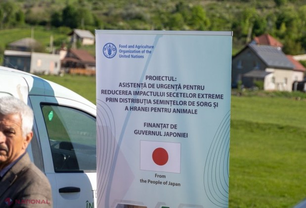 Sute de fermieri din R. Moldova au primit semințe de sorg, o cultură rezistentă la secetă, din partea FAO și Guvernului Japoniei: „Prin diversificarea culturilor, fermierii vor fi mai bine pregătiți să facă față provocărilor climatice viitoare”