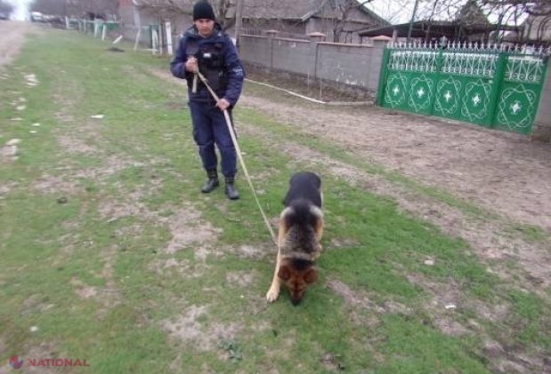 Câinele i-a dat de gol. Au fost găsiți peste câteva ore după ce-au FURAT dintr-un sat din R. Moldova