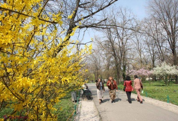 Weekend cu vreme frumoasă și caldă