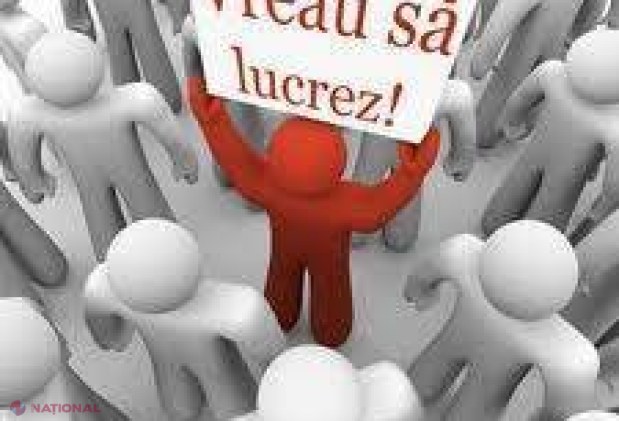 STATISTICI // Numărul șomerilor scade SEMNIFICATIV în R. Moldova