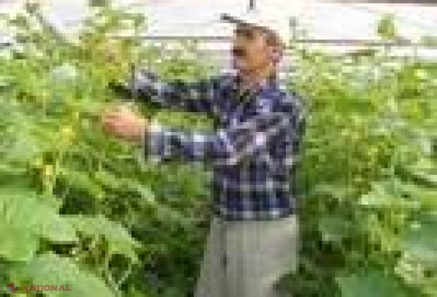 Know-how românesc pentru afaceri moldovenești
