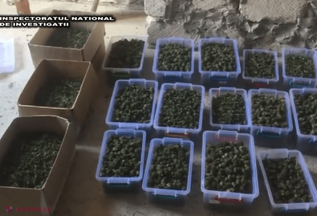 REȚINUȚI în timp ce ambalau „producția”  de MILIOANE care trebuia să ajungă pe piața Federației Ruse