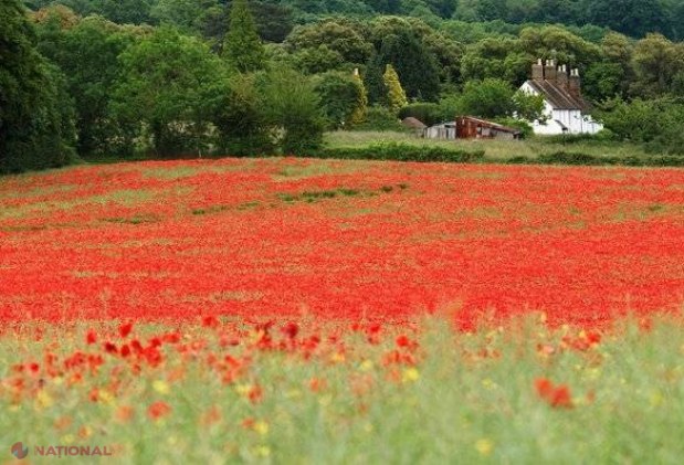 Cel mai frumos loc de vacanţă în fiecare ţară din Uniunea Europeană. Surpriza vine din România