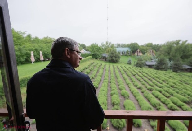 FOTO // Au pus pe roate o AFACERE în satul lor de baștină, iar acum toată R. Moldova vrea să viziteze acest „colț de Rai”