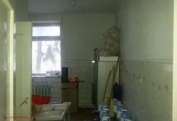 FOTO // „Partidul „ȘOR” a trecut la MODERNIZAREA infrastructurii de învățământ și în afara Orheiului”