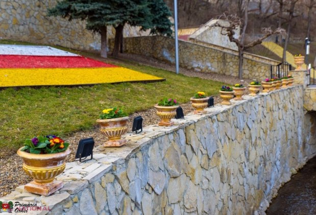 FOTO // Municipiul Orheiul a „ÎNFLORIT”. Mii de flori plantate au colorat orașul