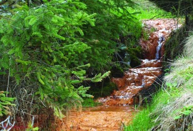DESTINAȚII pentru o vacanță relaxantă // Băile Tușnad - România, o stațiune montană cu comori naturale, este supranumită „mica Elveție”