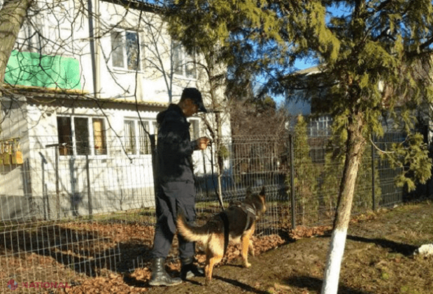 Cum a descoperit câinele Fox hoțul din Costești