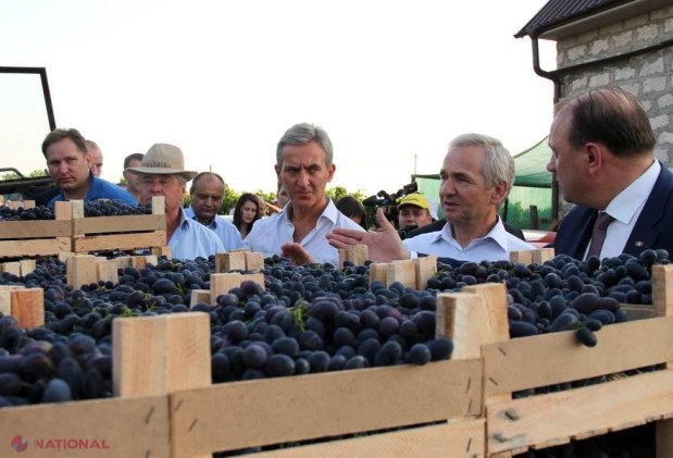„Fructul zeilor”, pe marginea drumului?