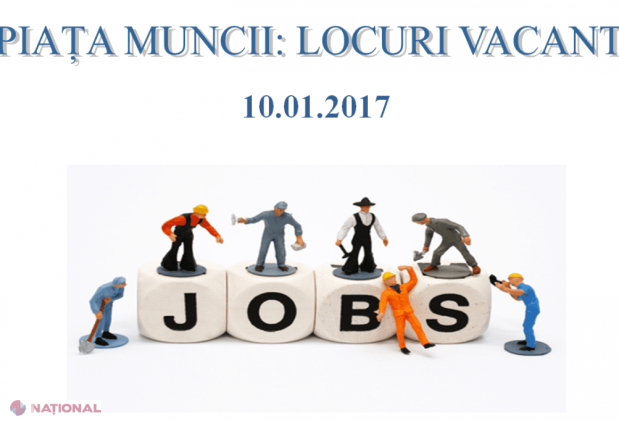PROFESIA cea mai CĂUTATĂ acum pe piața muncii din R. Moldova: Peste o mie de OFERTE 