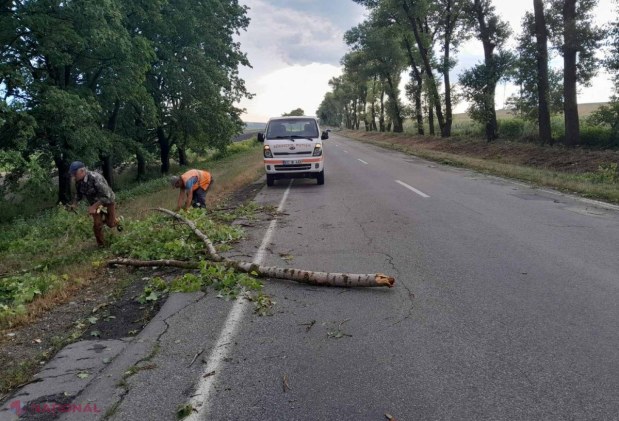 FOTO Șapte drumuri publice naționale, afectate pe ploile și vântul de noaptea trecută. Muncitorii au intervenit în sectoarele Dubăsari, Criuleni, Glodeni și Dondușeni