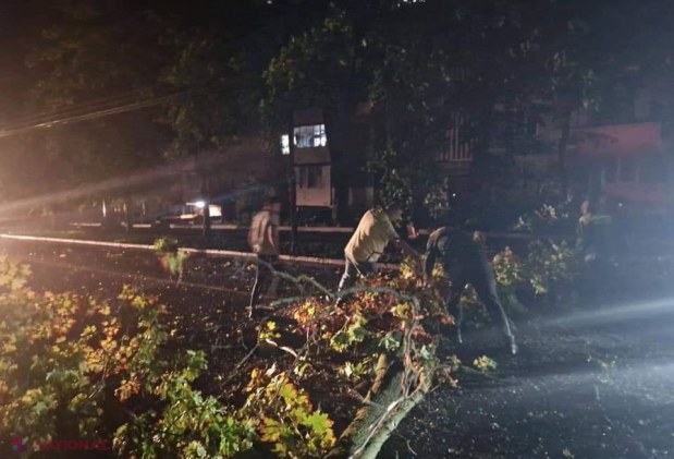 GALERIE FOTO // Furtuna de noaptea trecută a făcut ravagii în Chișinău - mai mulți copaci au fost rupți sau SMULȘI din rădăcină, mașini avariate, garduri doborâte și fire electrice căzute la pământ