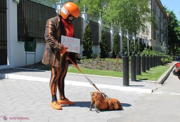 FOTO // Protest INEDIT în fața Ambasadei Rusiei la Chișinău: Mătăsaru a venit cu un „PORC de COLORADO”