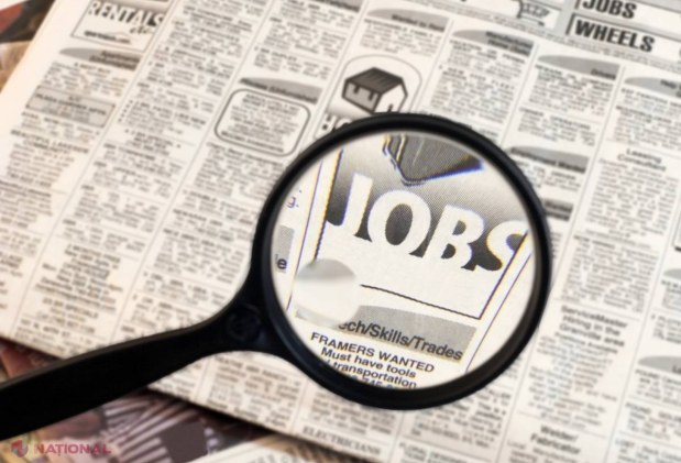 Piața muncii în R. Moldova! Care sunt cele mai solicitate meserii în baza studiilor superioare și profesionale