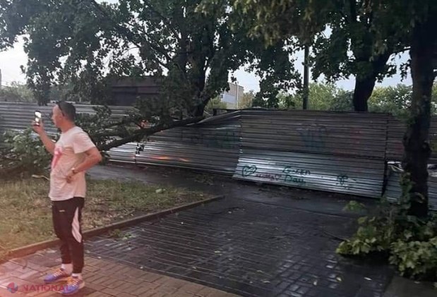 GALERIE FOTO // PLOAIE în Chișinău: Copaci scoşi din rădăcini și căzuți inclusiv pe mașini, străzi spălate de ape, acoperișuri luate de vânt sau cabluri doborâte la pământ