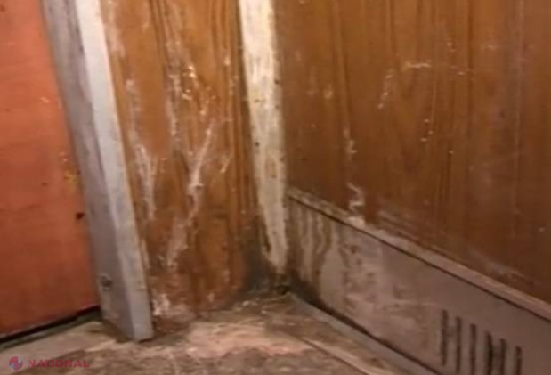 Detenție pe VIAȚĂ pentru inșii care au stopit o tânără din Chișinău cu acid pe față: Fata a decedat peste câteva ore la spital