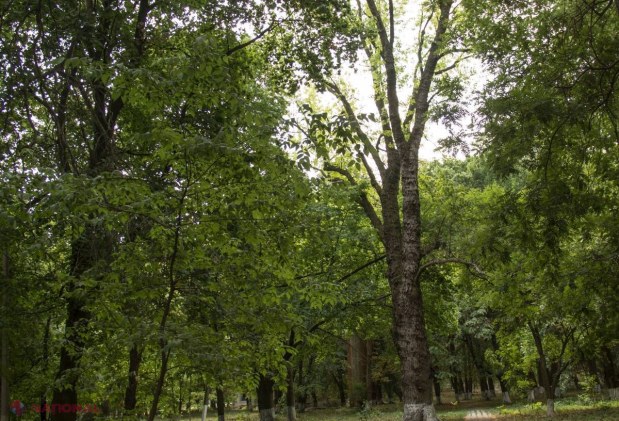 METEO // Norii se mențin și în acest week-end. Cum va fi vremea la începutul lunii septembrie