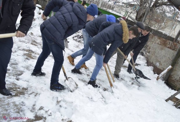 EXEMPLU // Tinerii din Ruseștii Noi au DESZĂPEZIT 20 de gospodării ale bătrânilor din localitate