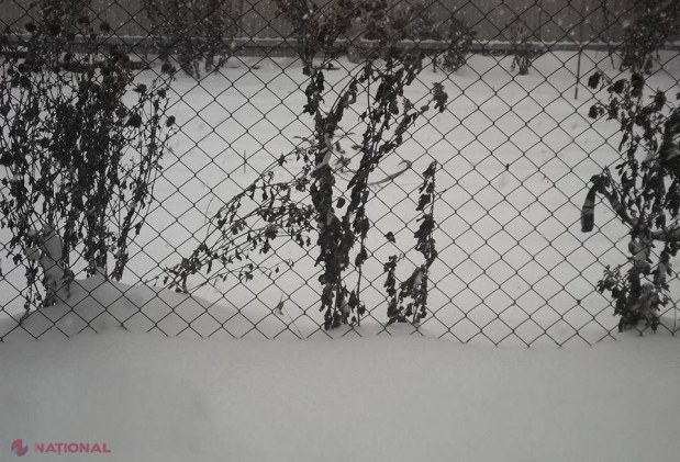 FOTO și VIDEO // Ce frumos ninge în nordul republicii!