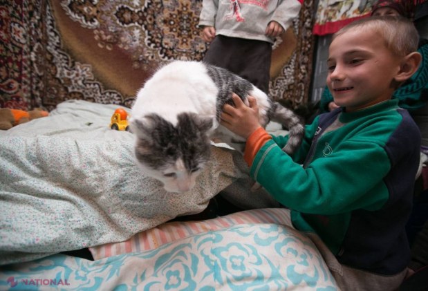 Campania NAȚIONALULUI // Povestea celor trei fraţi: ajutoarele au început să vină, IMPLICĂ-TE și tu!