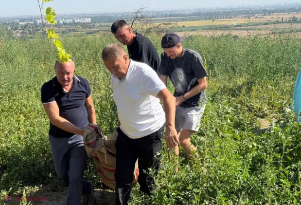 VIDEO, FOTO // Performanță uriașă la Căușeni: Cum arată „REGELE HARBUJILOR” din R. Moldova, pentru care a fost nevoie de patru oameni ca să-l ridice