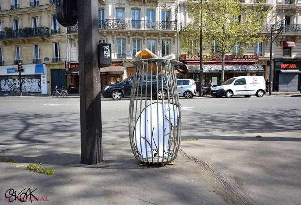 FOTO // Picturi INTELIGENTE pe stradă