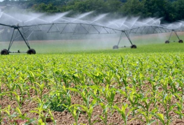Irigațiile, INTERZISE în R. Moldova. Mai mulți agricultori au fost AMENDAȚI